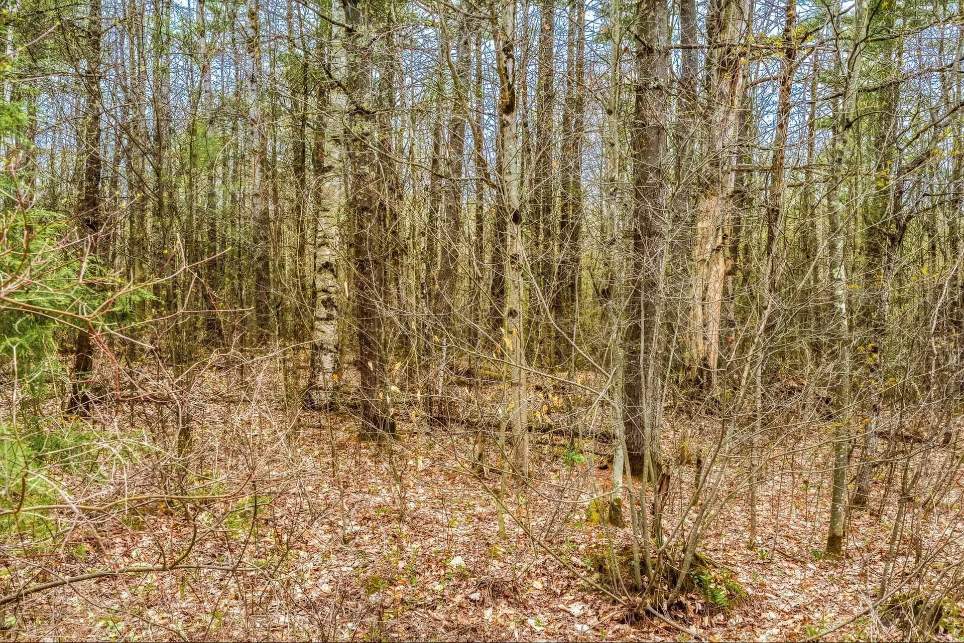0 Birdseye Road Castleton VT 05735