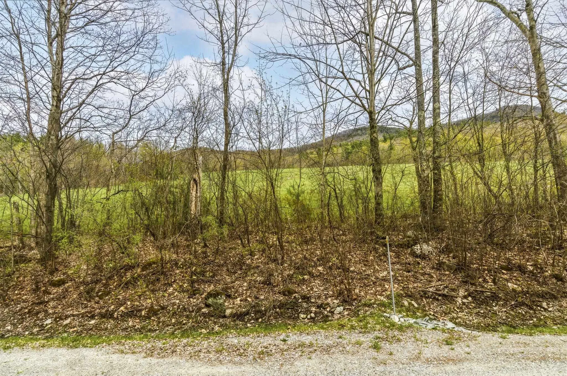 0 Birdseye Road Castleton VT 05735