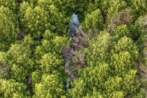 0 Birdseye Road Castleton VT 05735