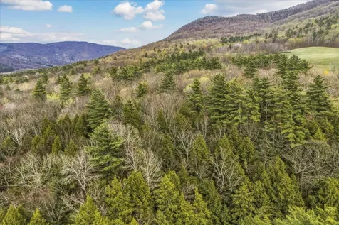 0 Birdseye Road Castleton VT 05735