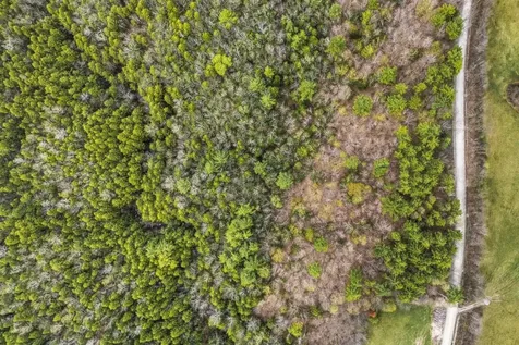 0 Birdseye Road Castleton VT 05735