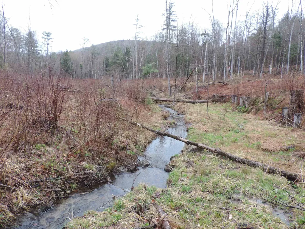 59 Frescoln Road Wentworth NH 03282