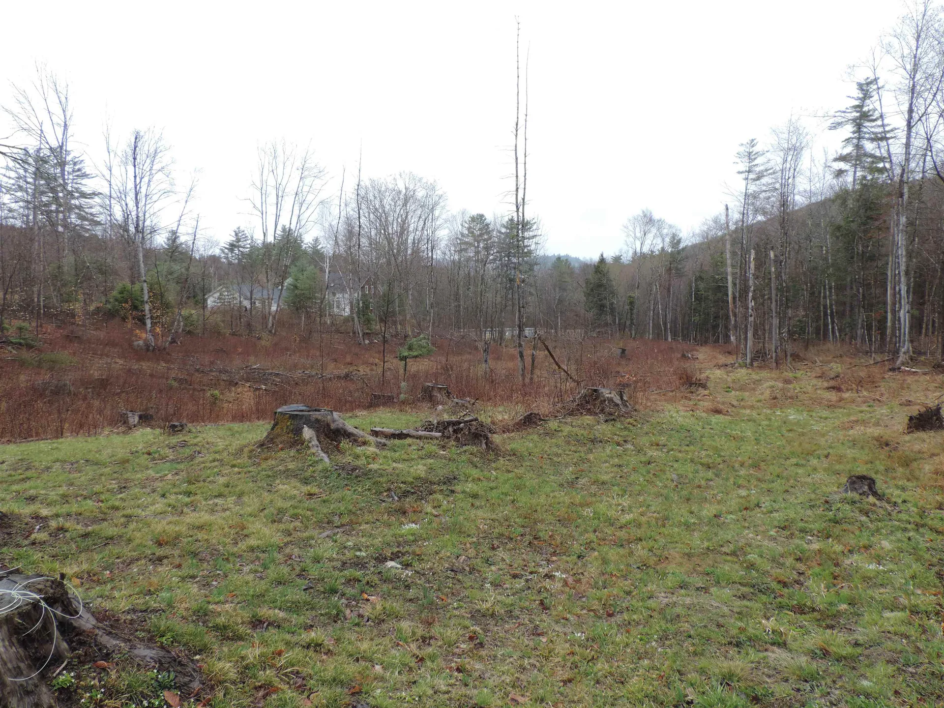 59 Frescoln Road Wentworth NH 03282