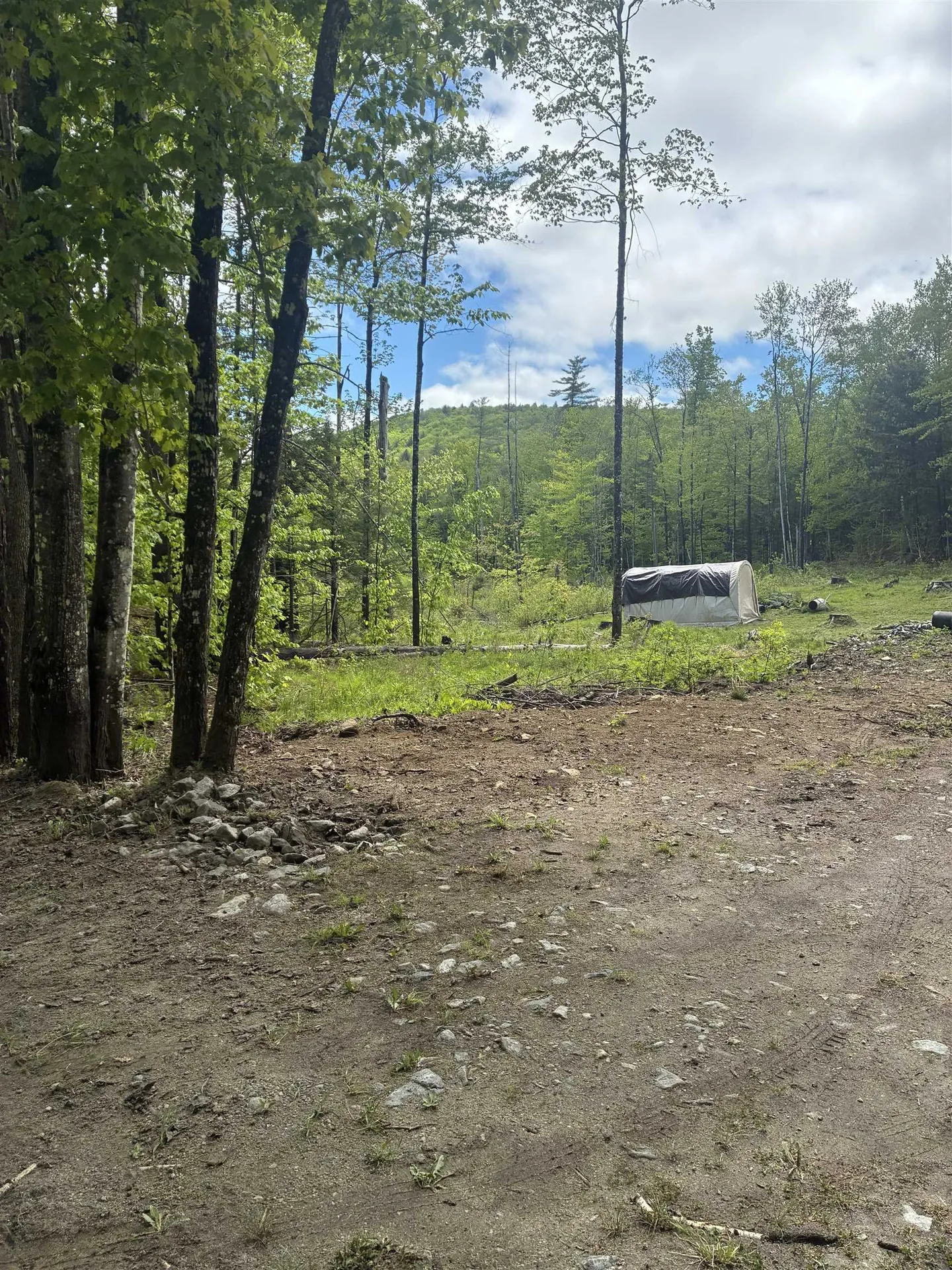59 Frescoln Road Wentworth NH 03282
