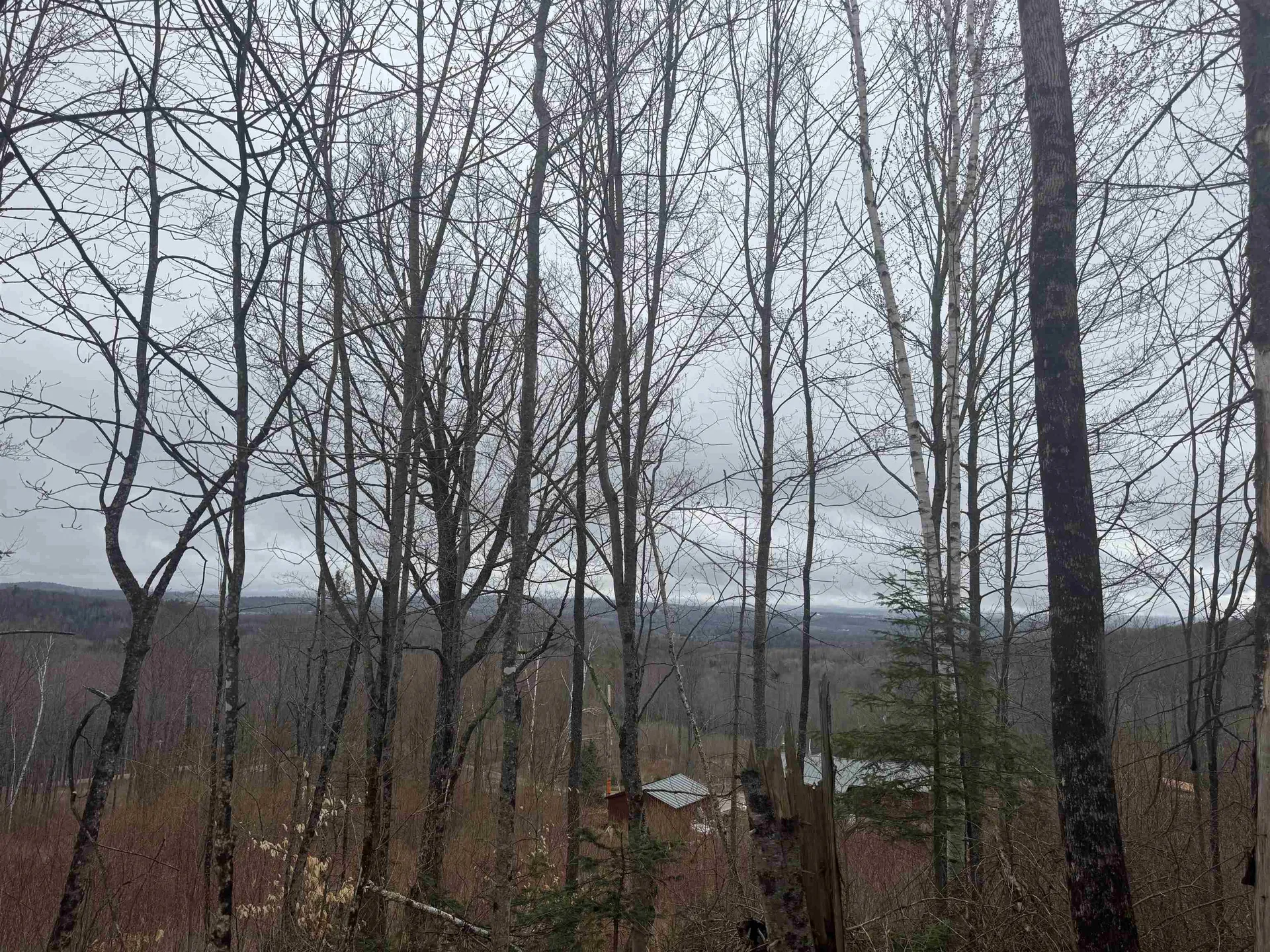 231 John Rock Road Wheelock VT 05851