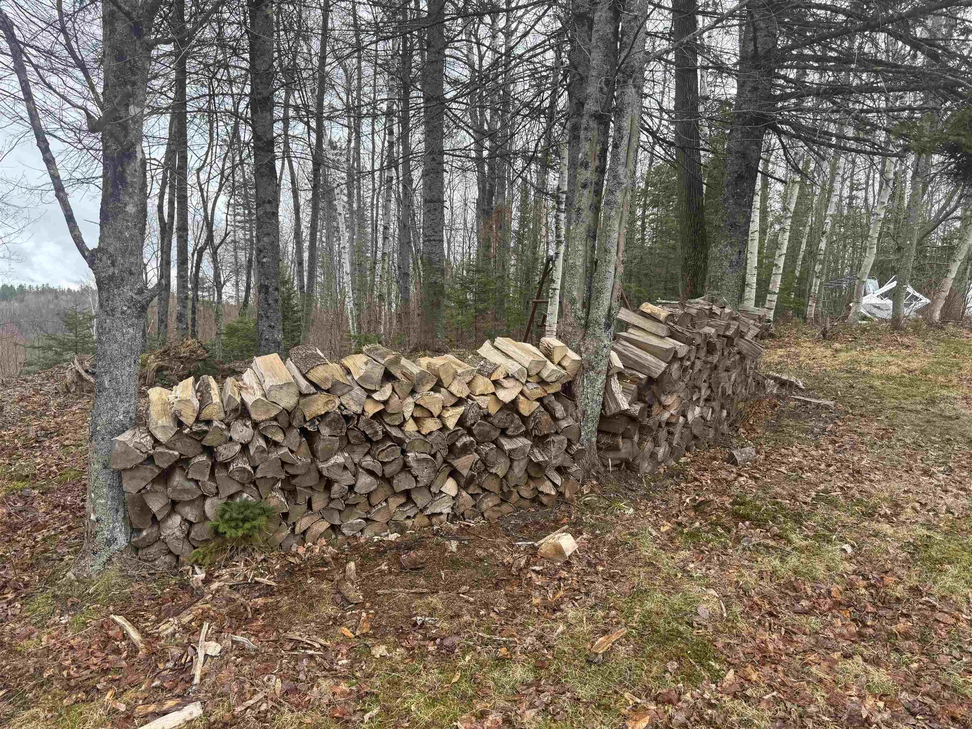 231 John Rock Road Wheelock VT 05851