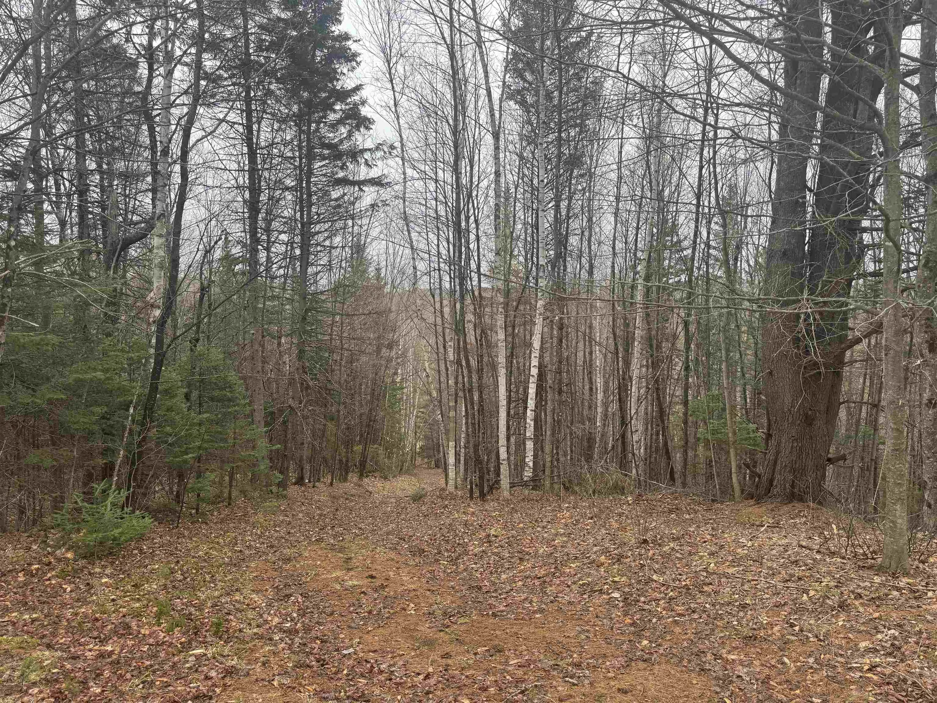 231 John Rock Road Wheelock VT 05851