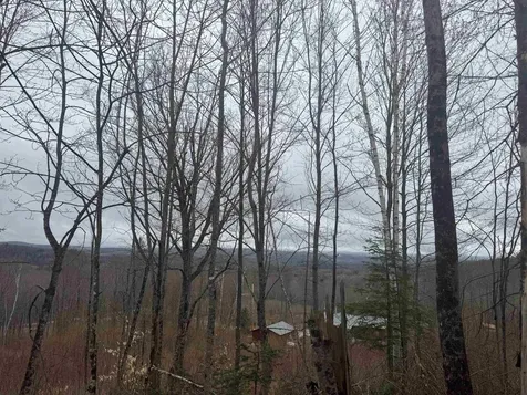 231 John Rock Road Wheelock VT 05851