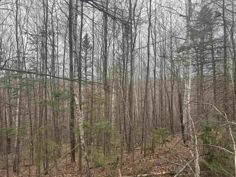 231 John Rock Road Wheelock VT 05851