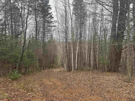 231 John Rock Road Wheelock VT 05851