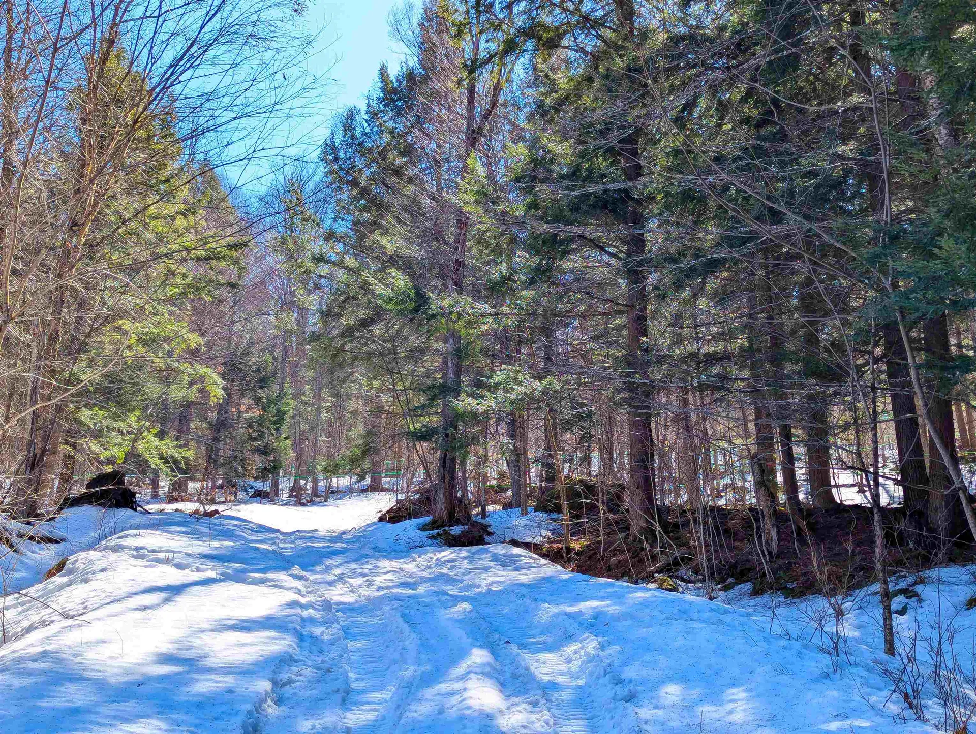 12 Old Route 12 Barnard VT 05031