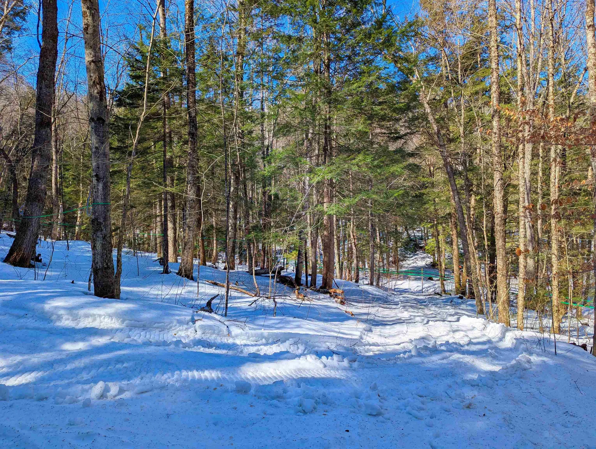 12 Old Route 12 Barnard VT 05031