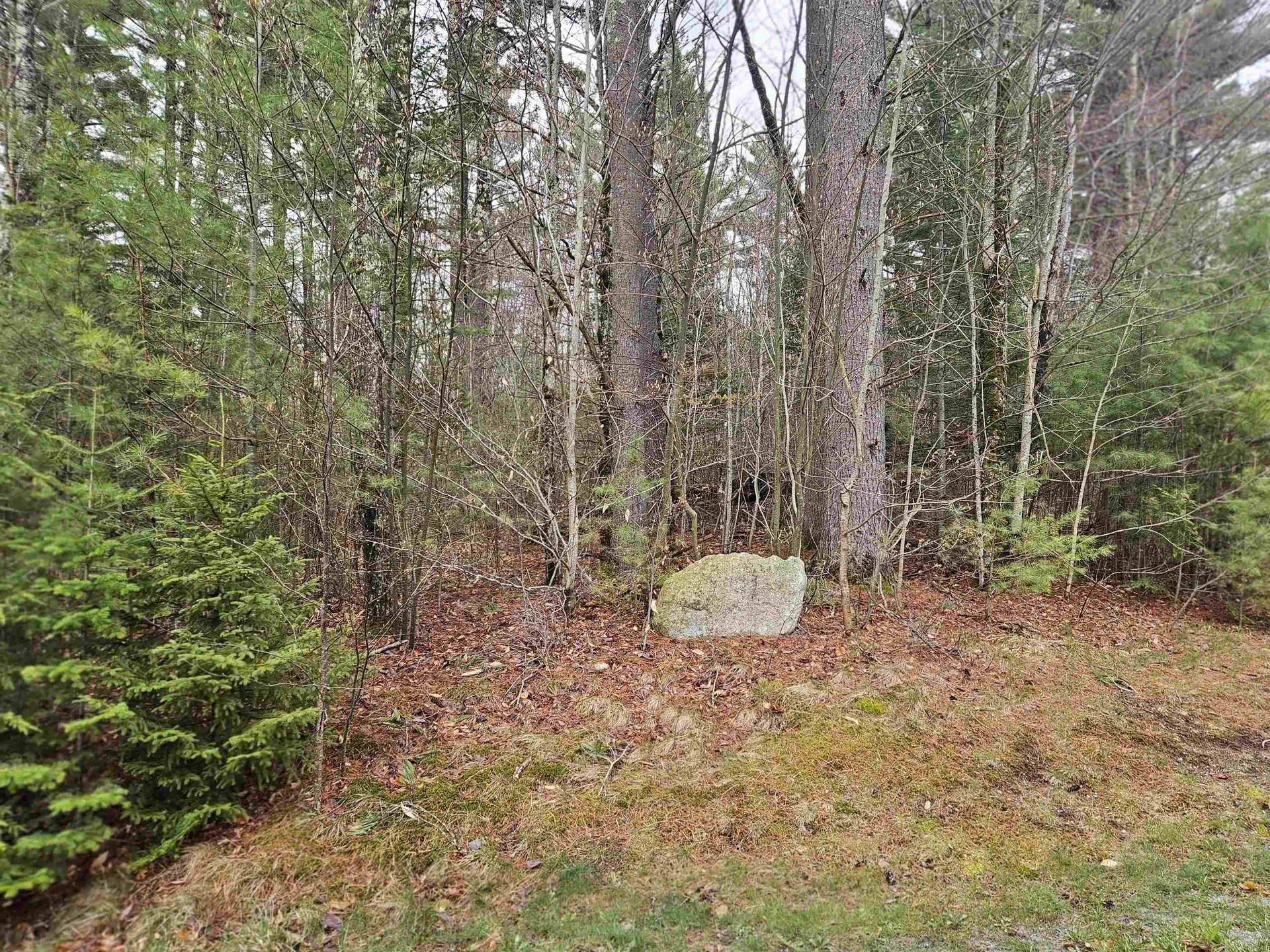 Lot 20 Point Of View Drive Franconia NH 03580