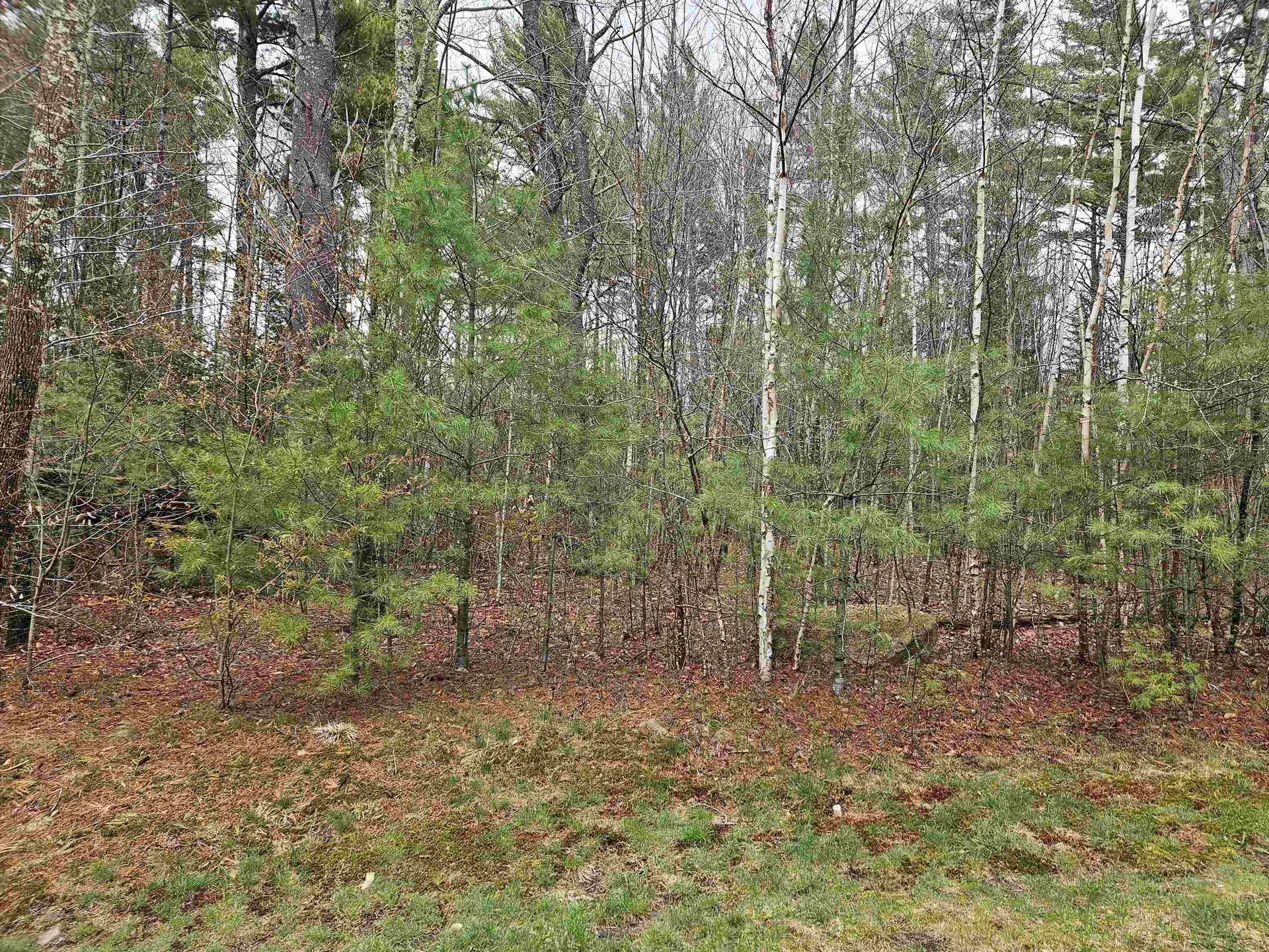 Lot 20 Point Of View Drive Franconia NH 03580