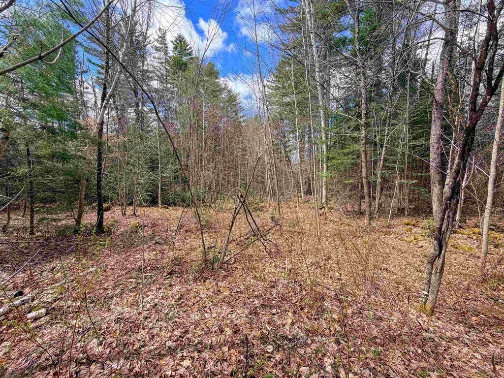538 Oregon Road Concord VT 05824
