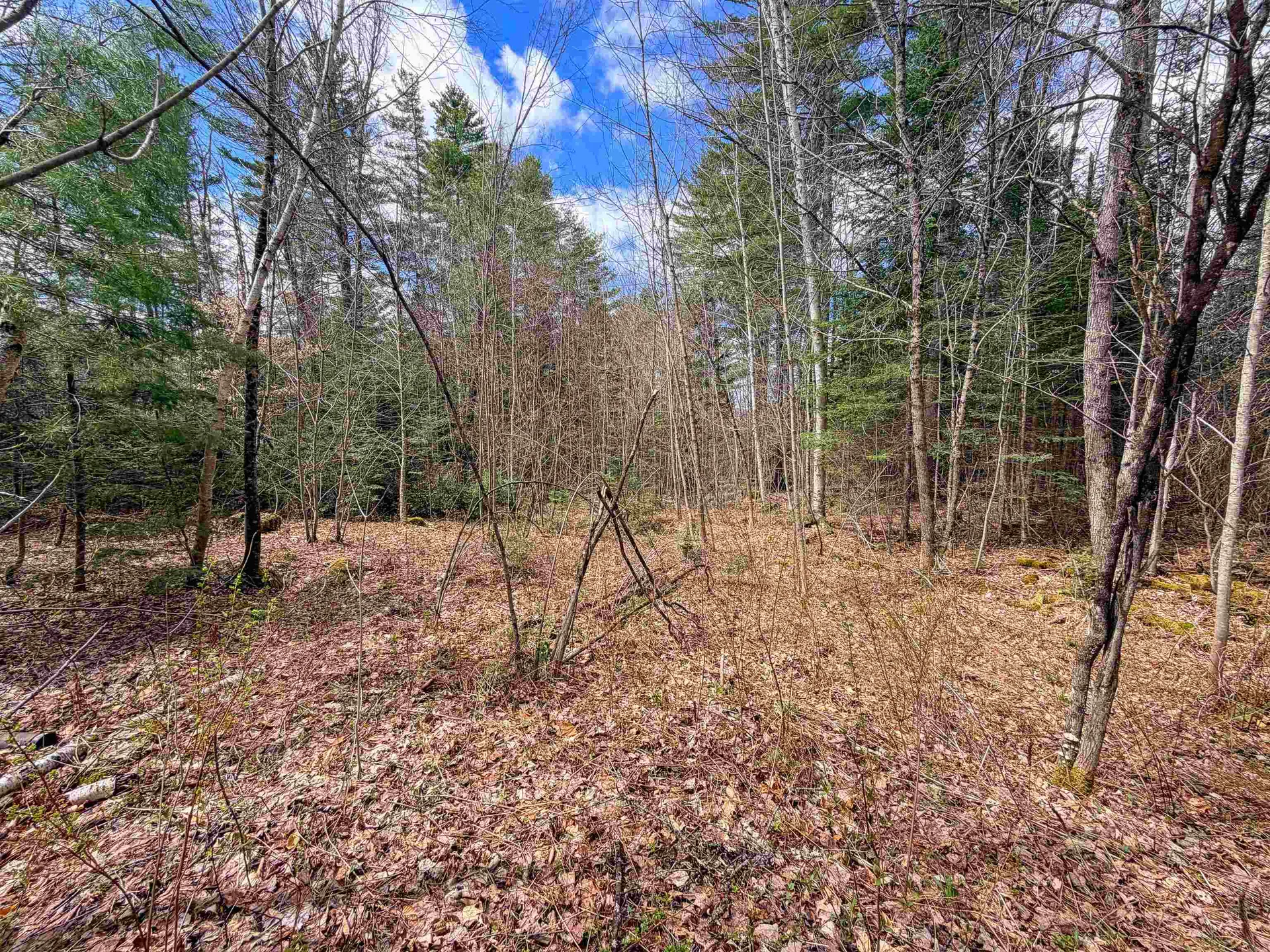 538 Oregon Road Concord VT 05824