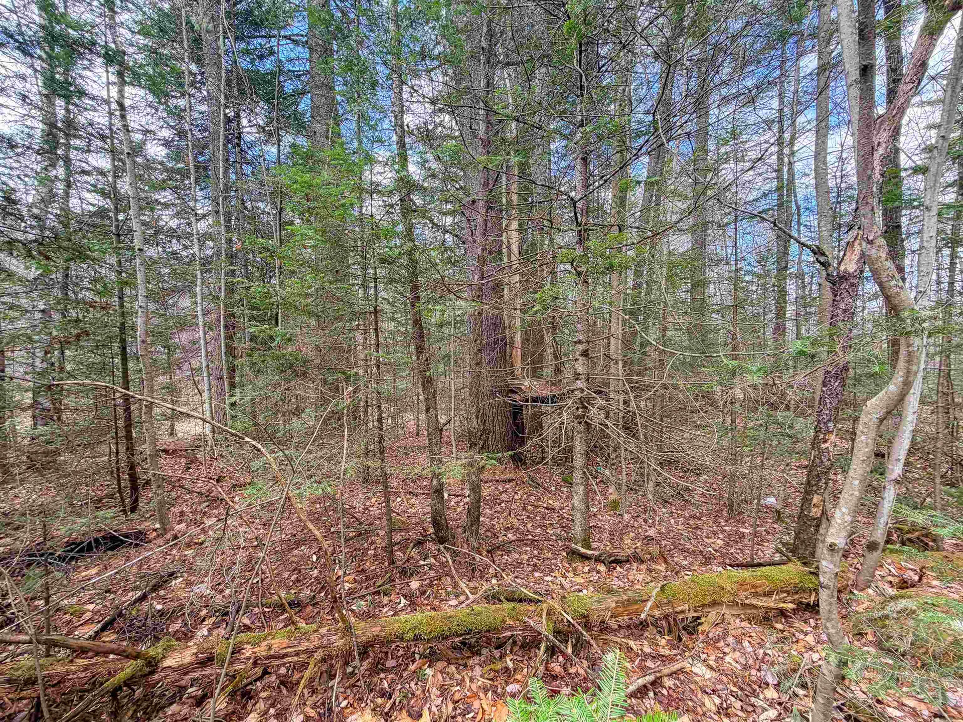 538 Oregon Road Concord VT 05824