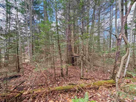 538 Oregon Road Concord VT 05824