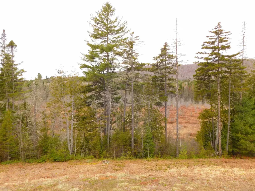 63 Stump Road Errol NH 03579