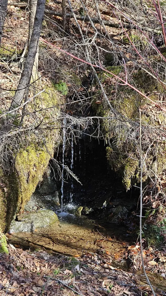 512 Woodbury Mountain Road Calais VT 05648