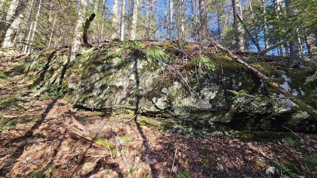 512 Woodbury Mountain Road Calais VT 05648