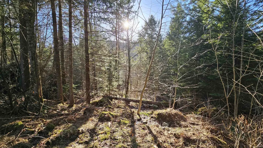 512 Woodbury Mountain Road Calais VT 05648