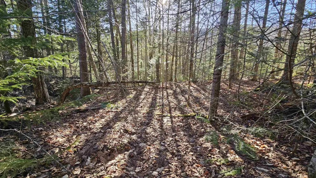 512 Woodbury Mountain Road Calais VT 05648