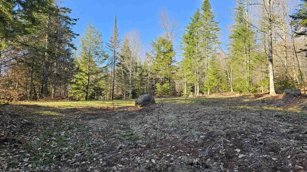 512 Woodbury Mountain Road Calais VT 05648