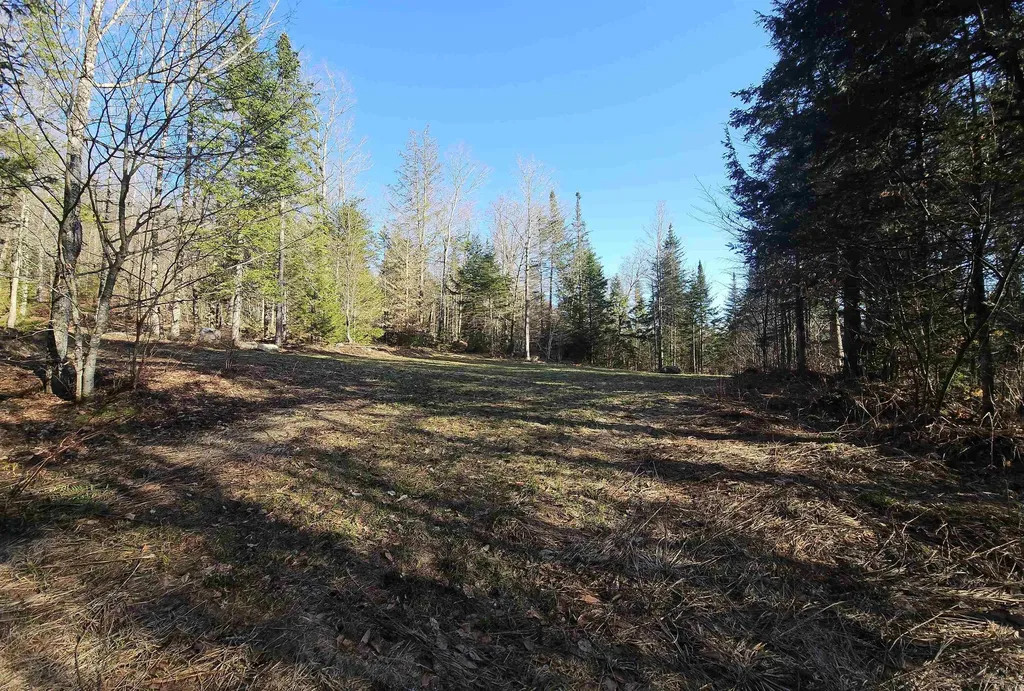 512 Woodbury Mountain Road Calais VT 05648