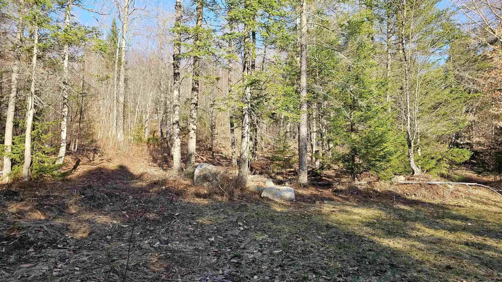 512 Woodbury Mountain Road Calais VT 05648