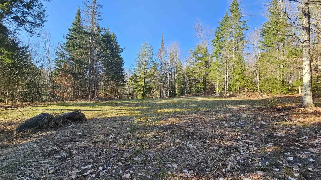512 Woodbury Mountain Road Calais VT 05648