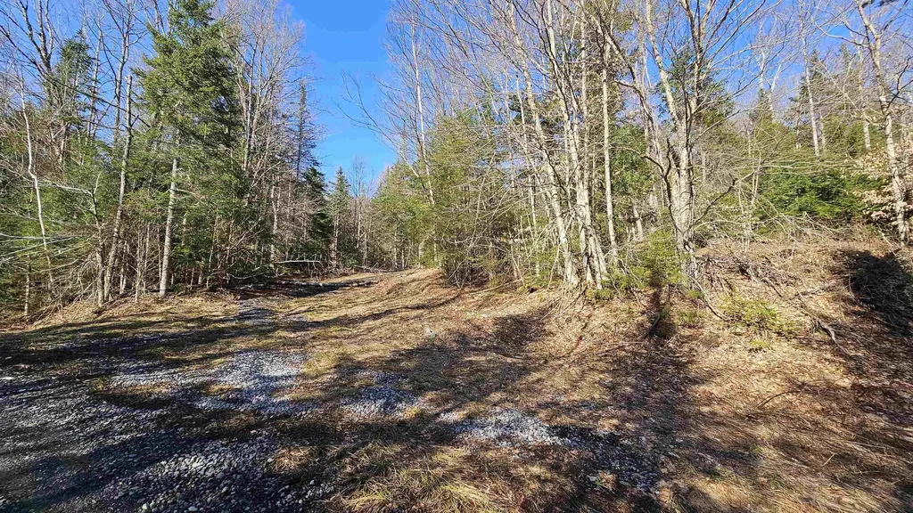 512 Woodbury Mountain Road Calais VT 05648