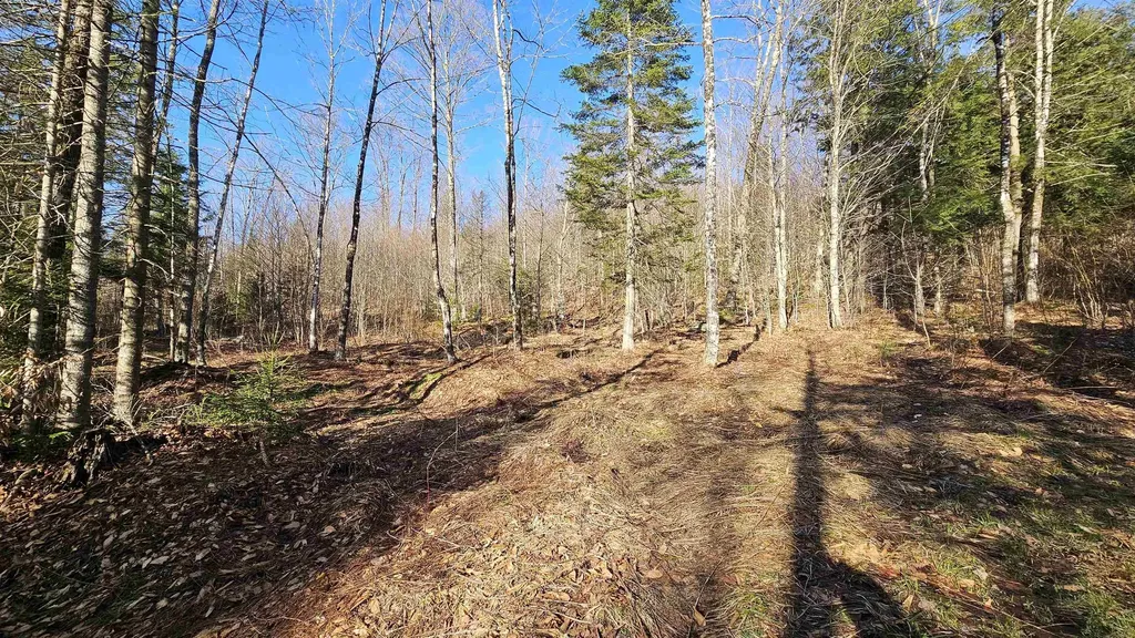 512 Woodbury Mountain Road Calais VT 05648
