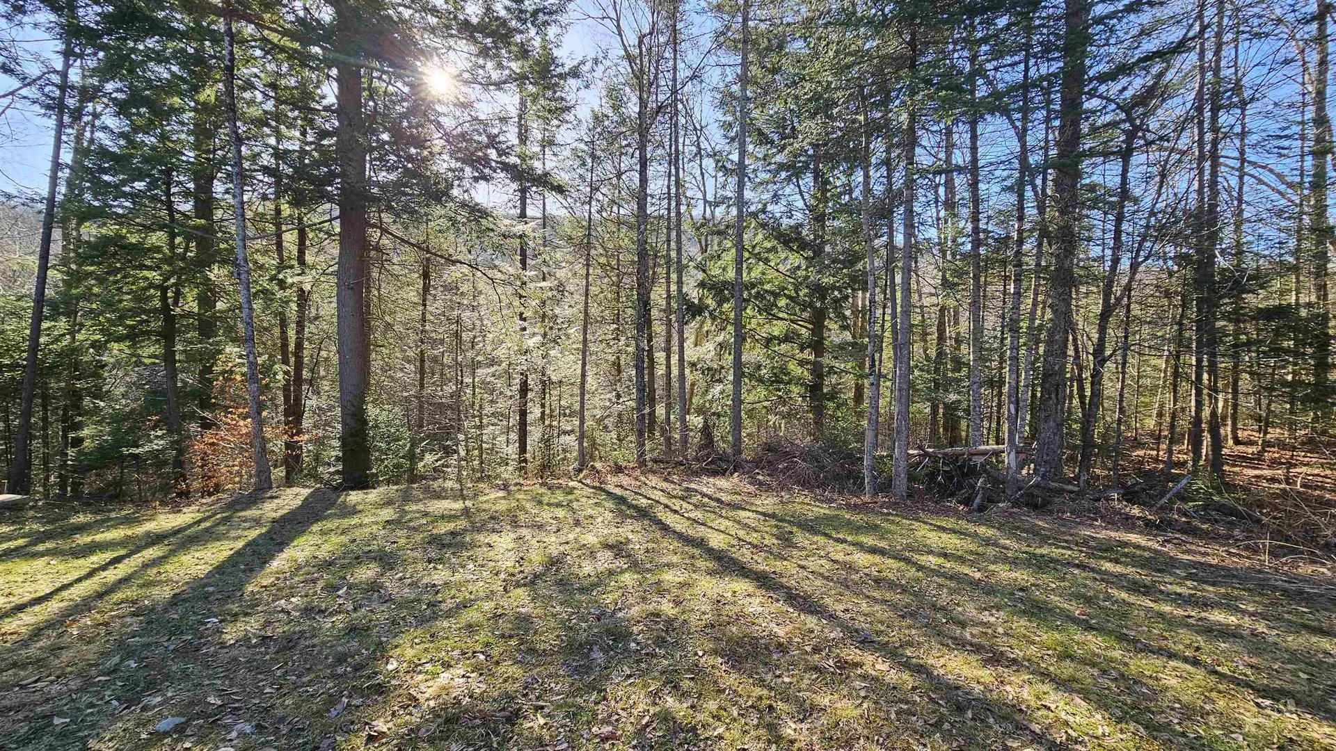 512 Woodbury Mountain Road Calais VT 05648