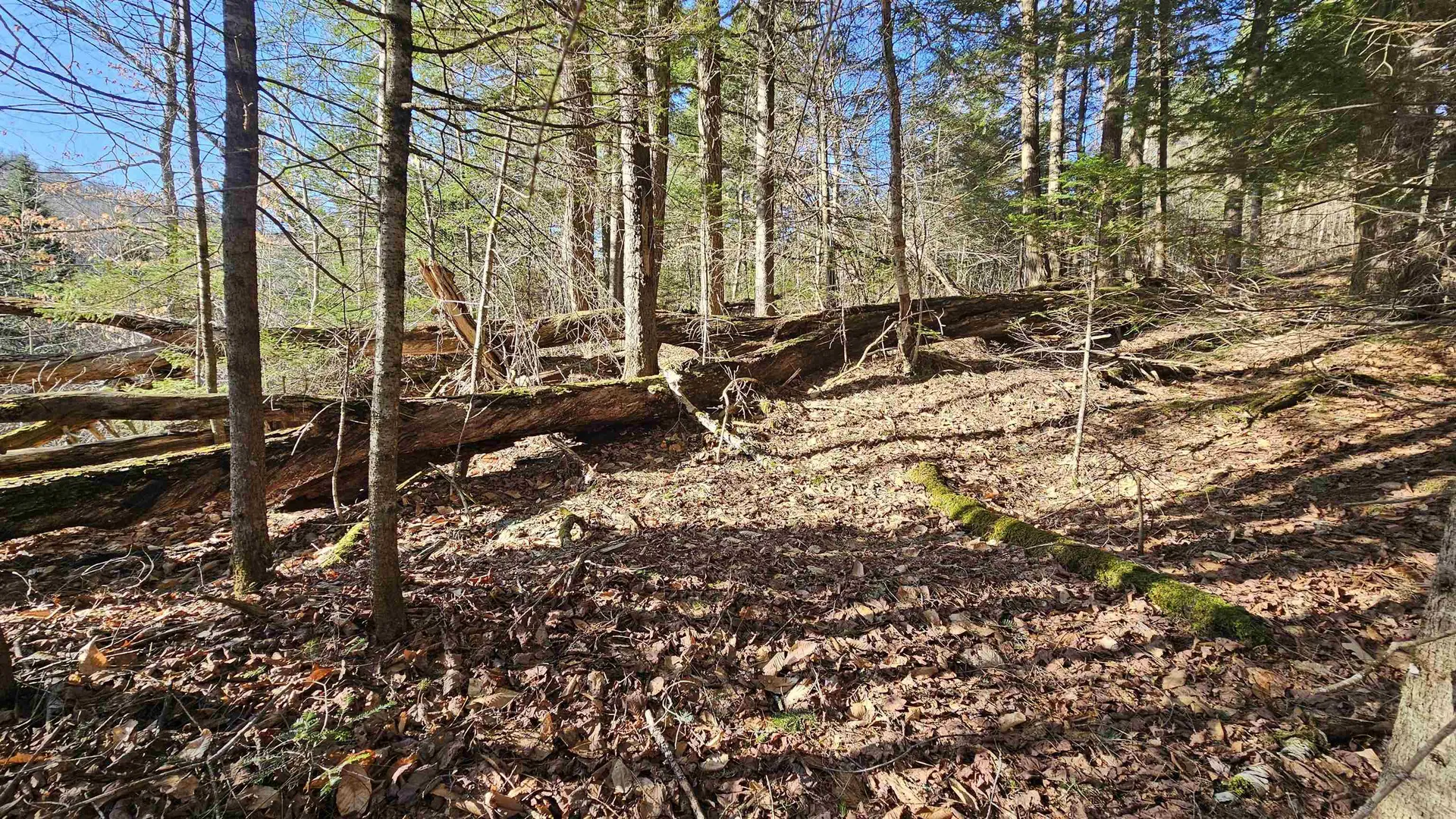 512 Woodbury Mountain Road Calais VT 05648