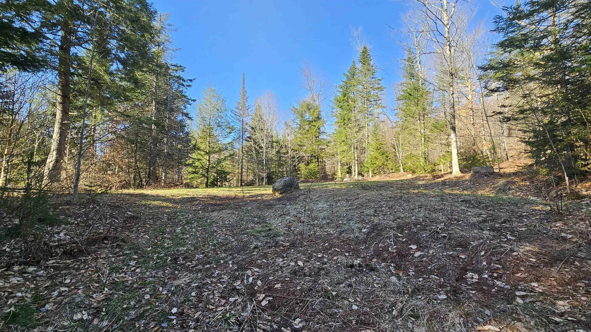 512 Woodbury Mountain Road Calais VT 05648