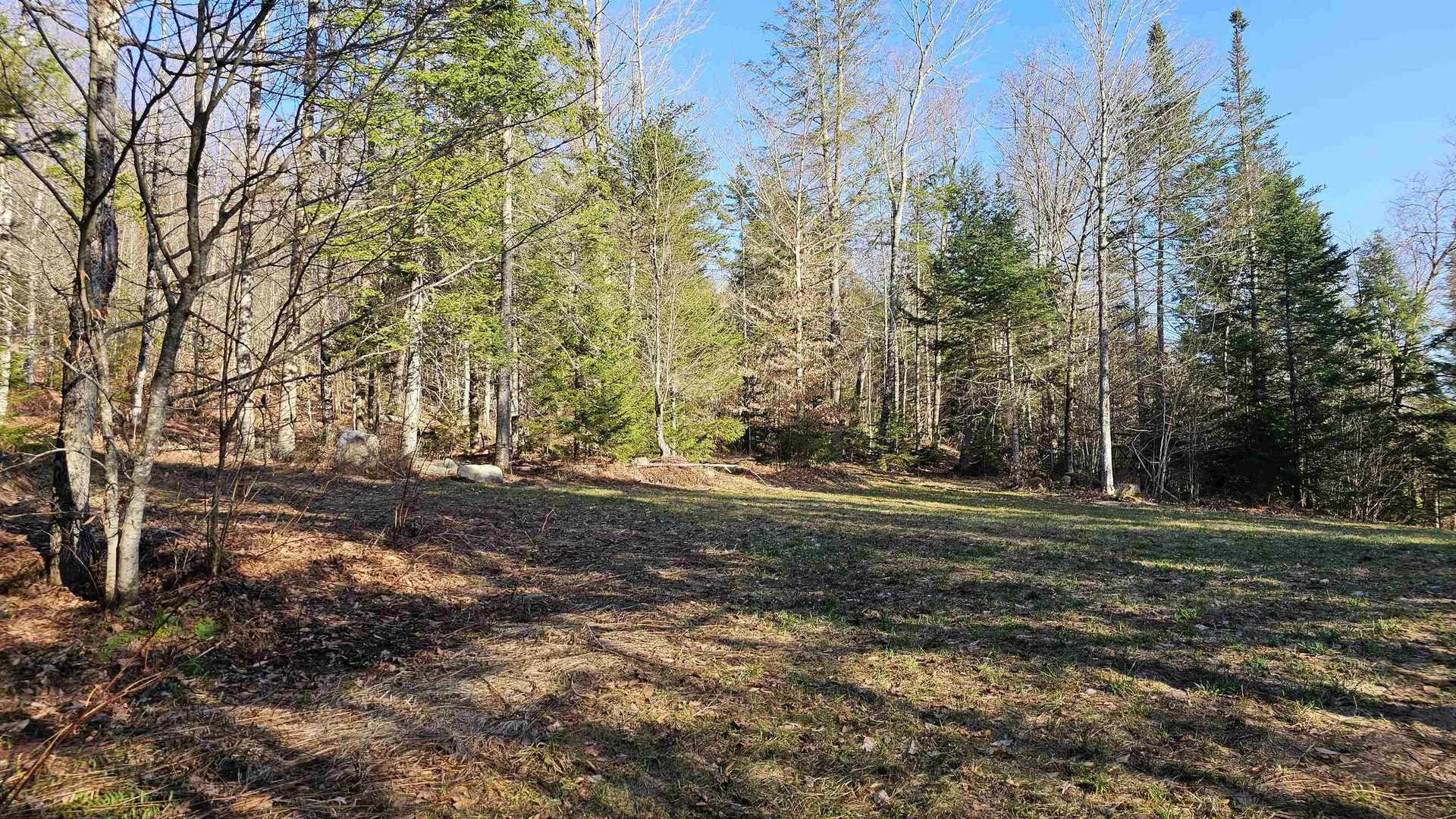 512 Woodbury Mountain Road Calais VT 05648