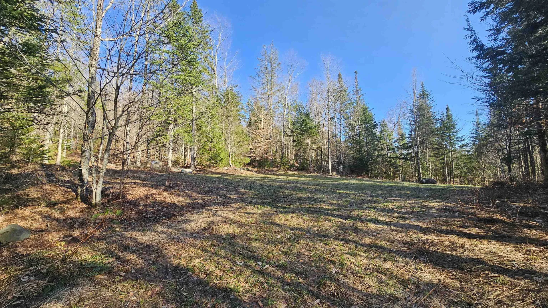 512 Woodbury Mountain Road Calais VT 05648
