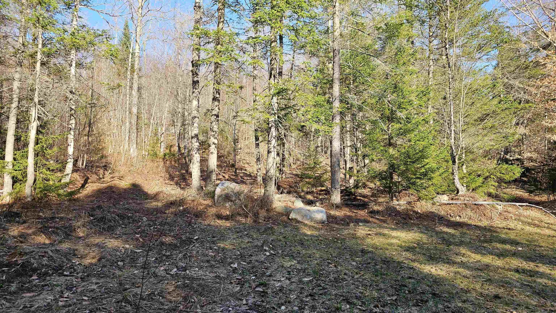 512 Woodbury Mountain Road Calais VT 05648