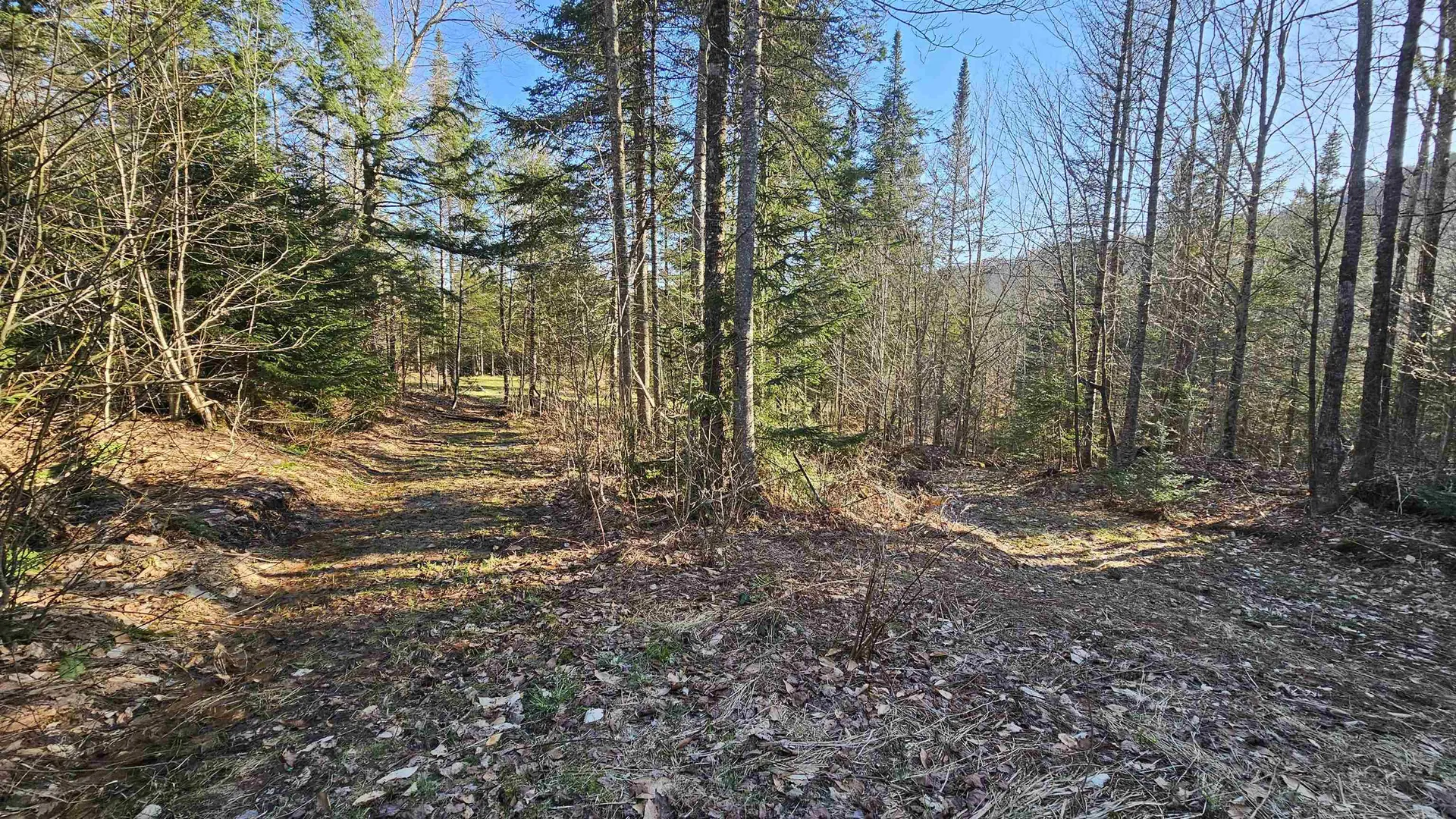 512 Woodbury Mountain Road Calais VT 05648