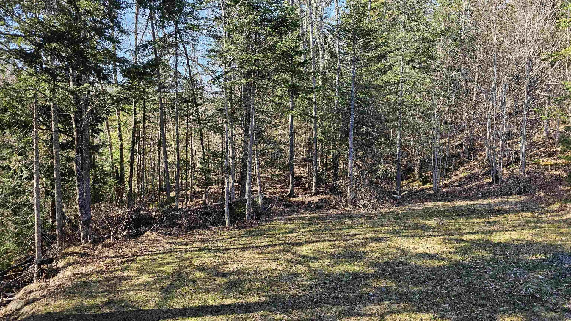512 Woodbury Mountain Road Calais VT 05648