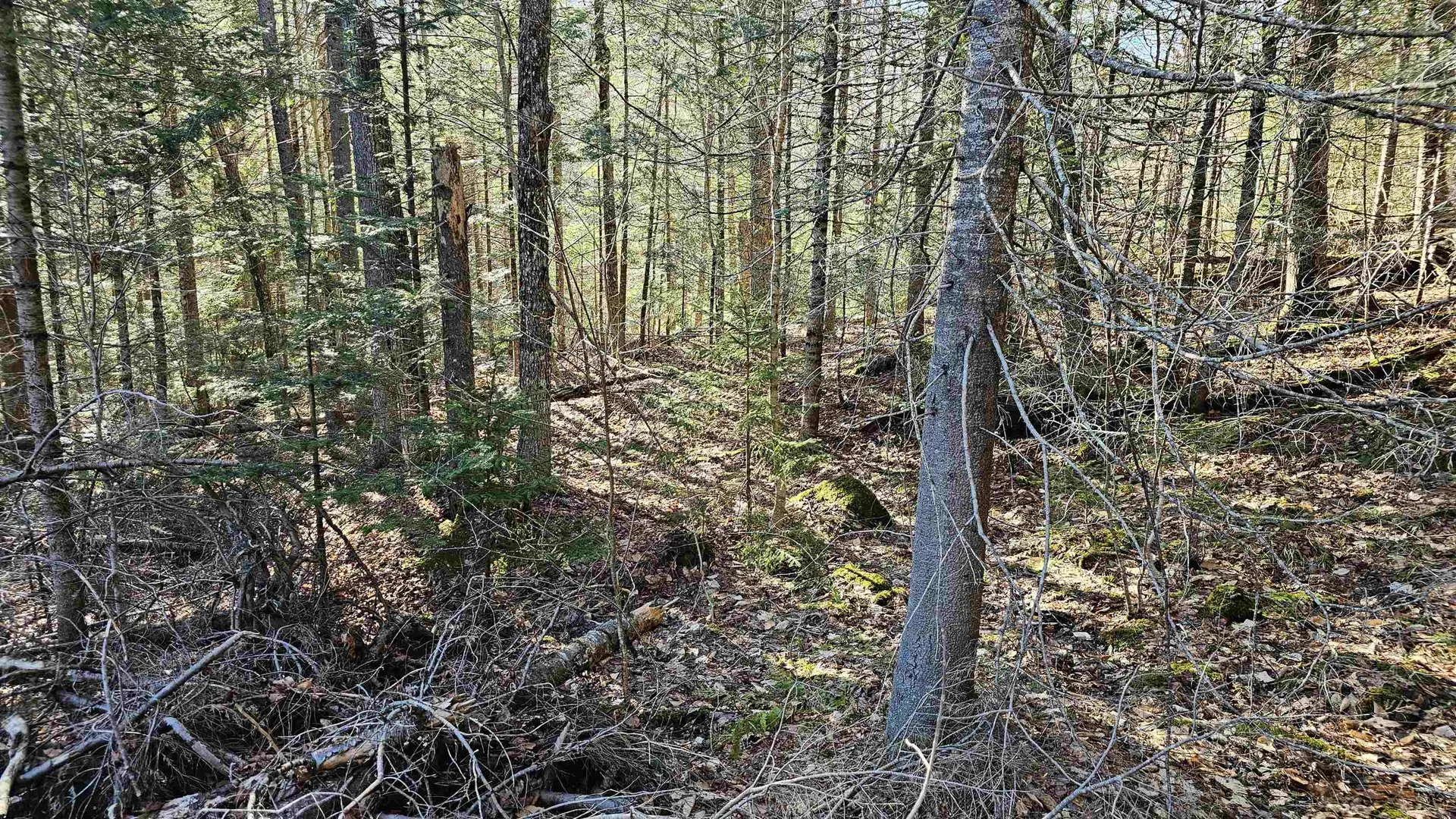 512 Woodbury Mountain Road Calais VT 05648