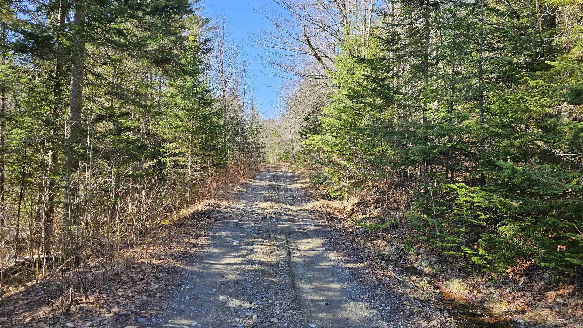 512 Woodbury Mountain Road Calais VT 05648