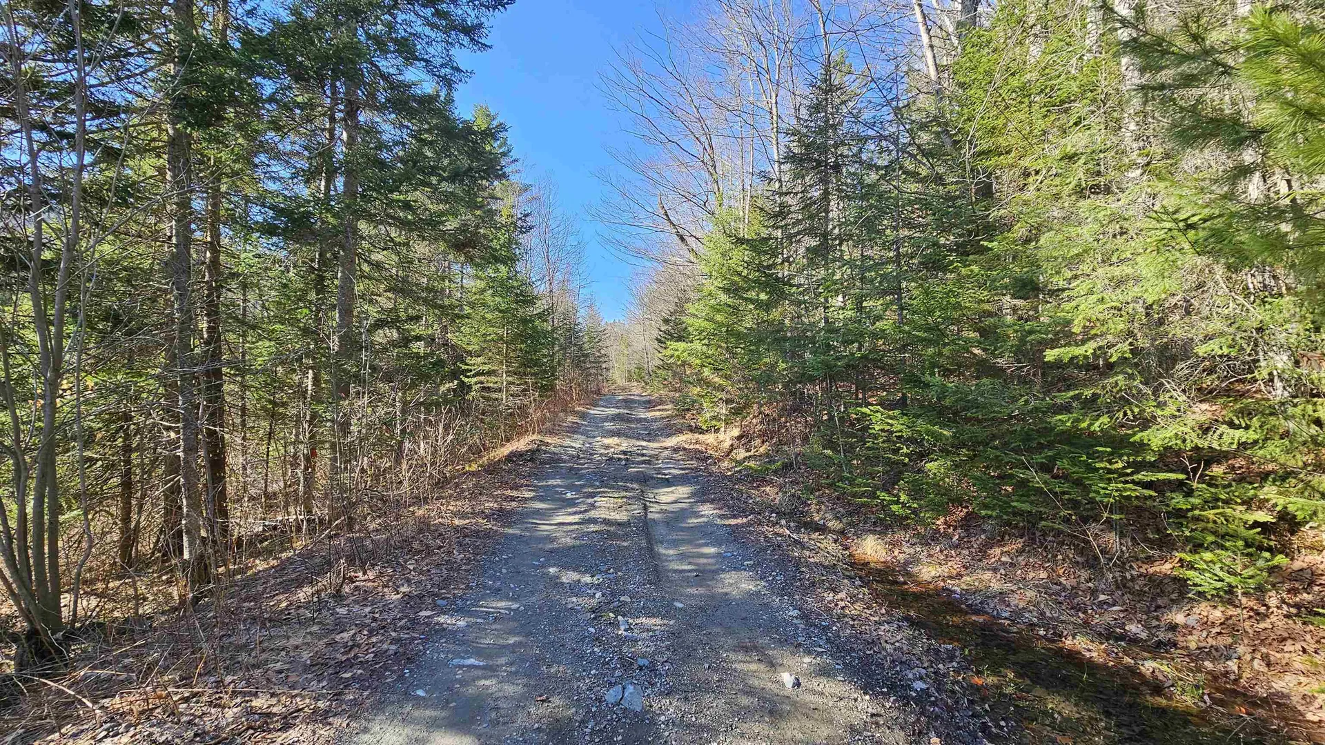 512 Woodbury Mountain Road Calais VT 05648