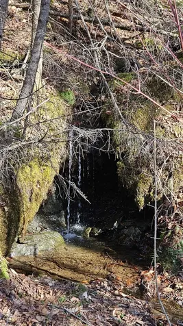 512 Woodbury Mountain Road Calais VT 05648