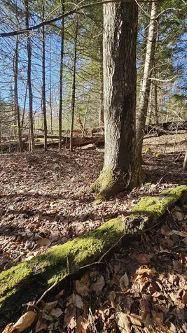 512 Woodbury Mountain Road Calais VT 05648