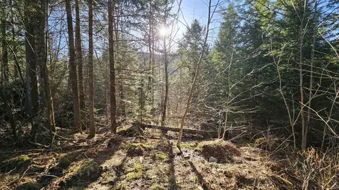 512 Woodbury Mountain Road Calais VT 05648