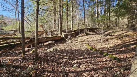 512 Woodbury Mountain Road Calais VT 05648