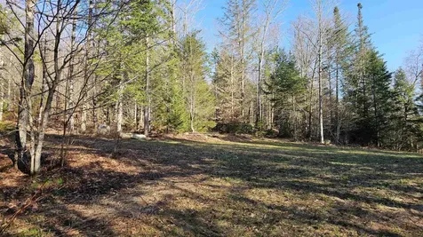 512 Woodbury Mountain Road Calais VT 05648