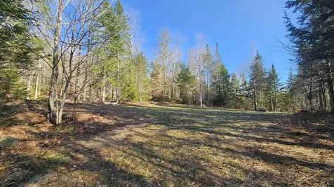 512 Woodbury Mountain Road Calais VT 05648
